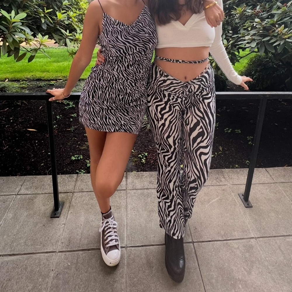 Wild Fable Zebra Print Dress!